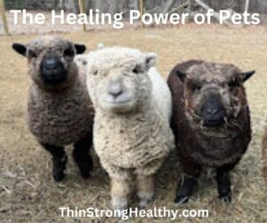 Cheryl A Major tweet media