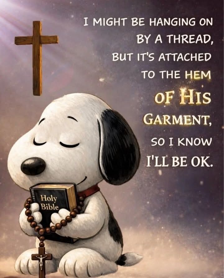 DALitt731's tweet photo. THANK YOU LORD! Amen 🙏🏾 https://t.co/PISM4jDhjU
