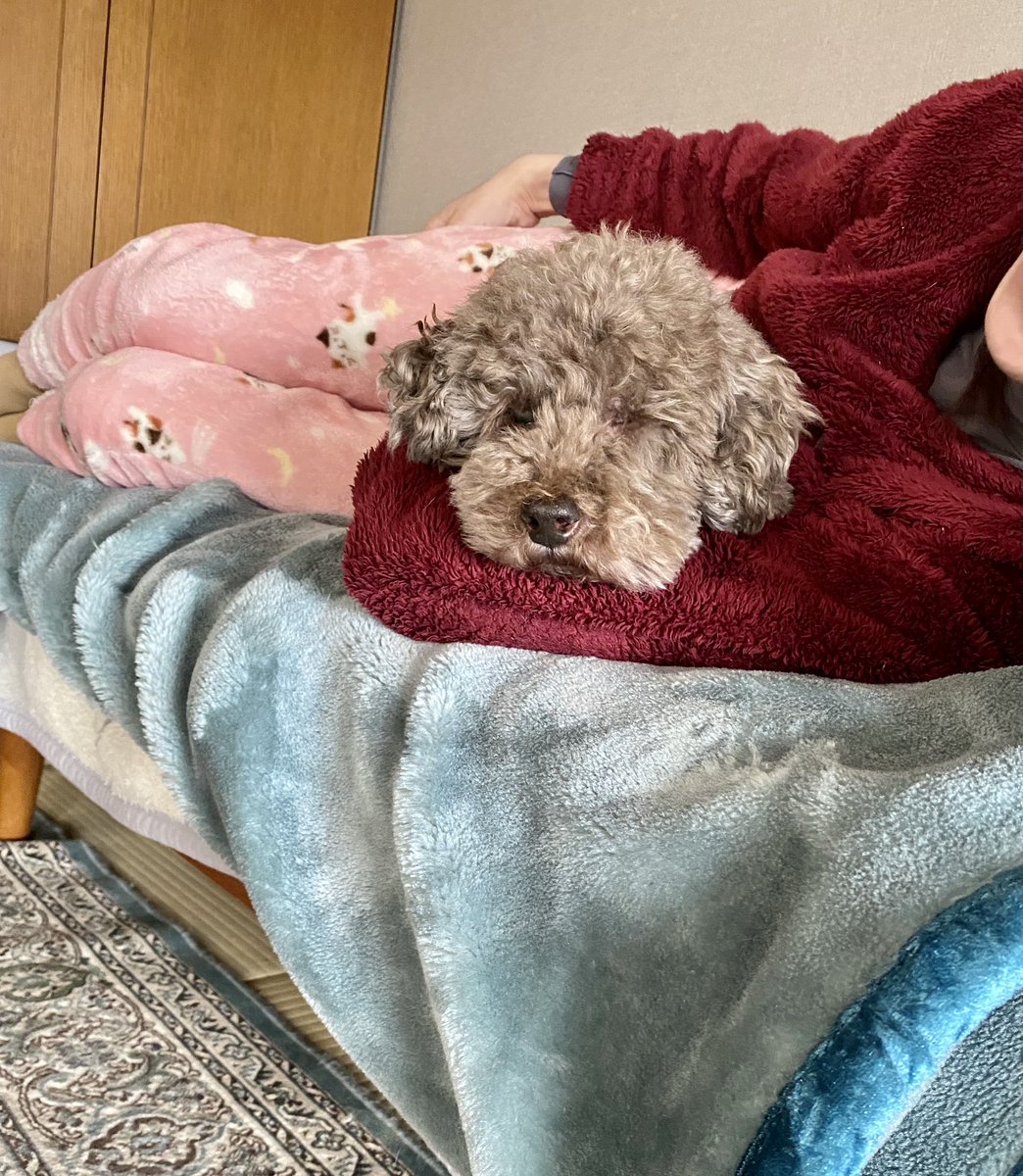 anny tanabe (@703_anny) / Posts / X