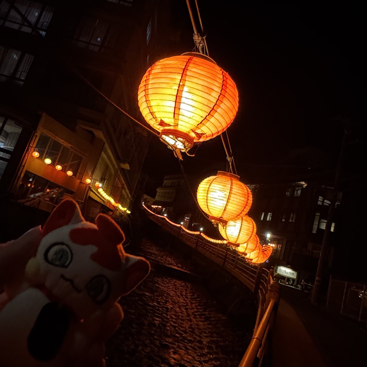 にゃき、伊豆だよ #開運コロシアムぬいぬい部