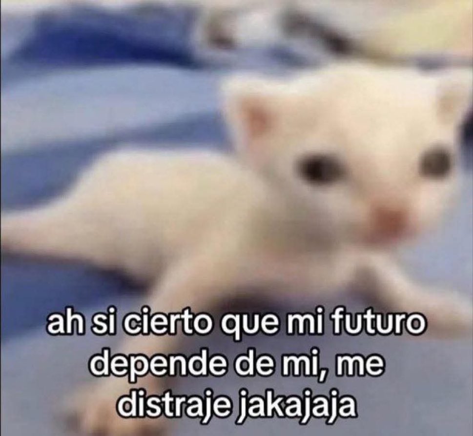 Me distraje