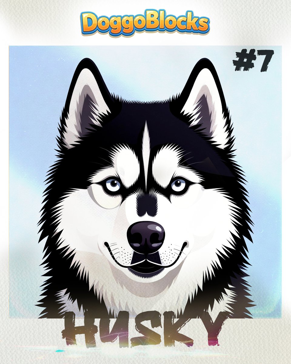 Doggo Blocks tweet media