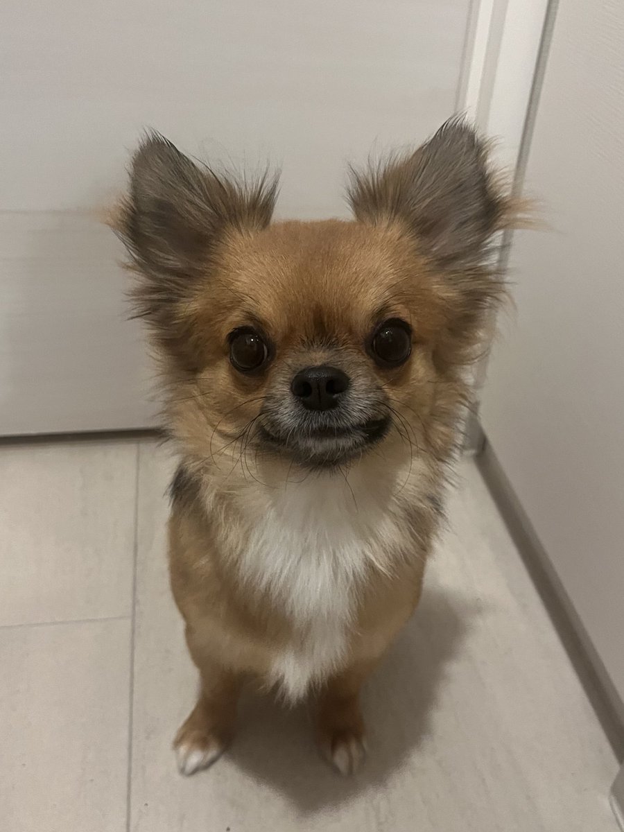 長谷川 美月(みちゅ) tweet media