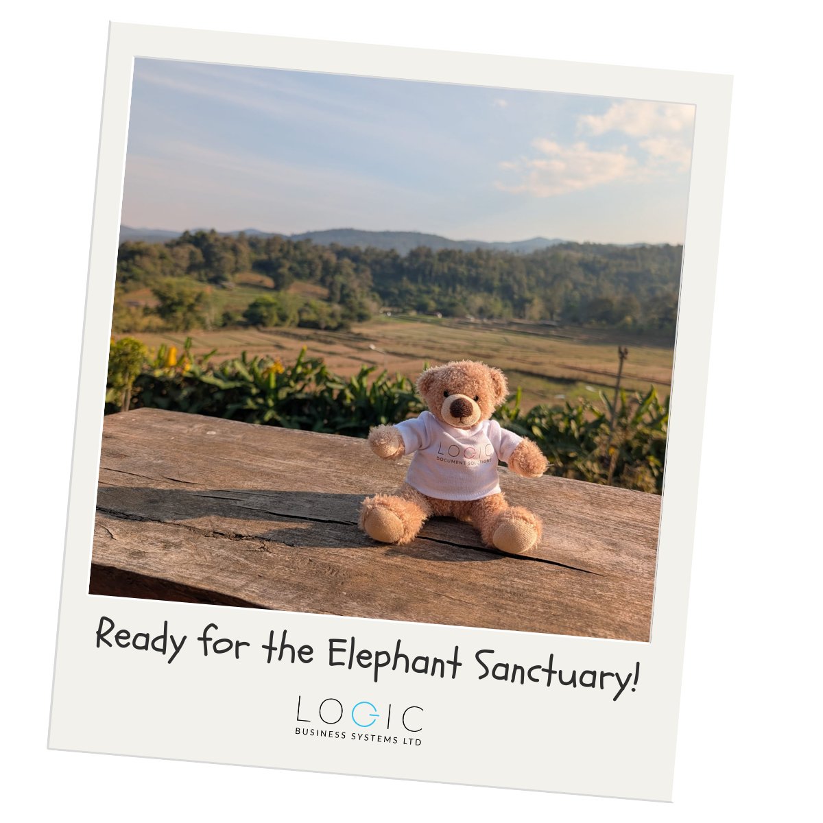 Logic Business Systems Ltd tweet media