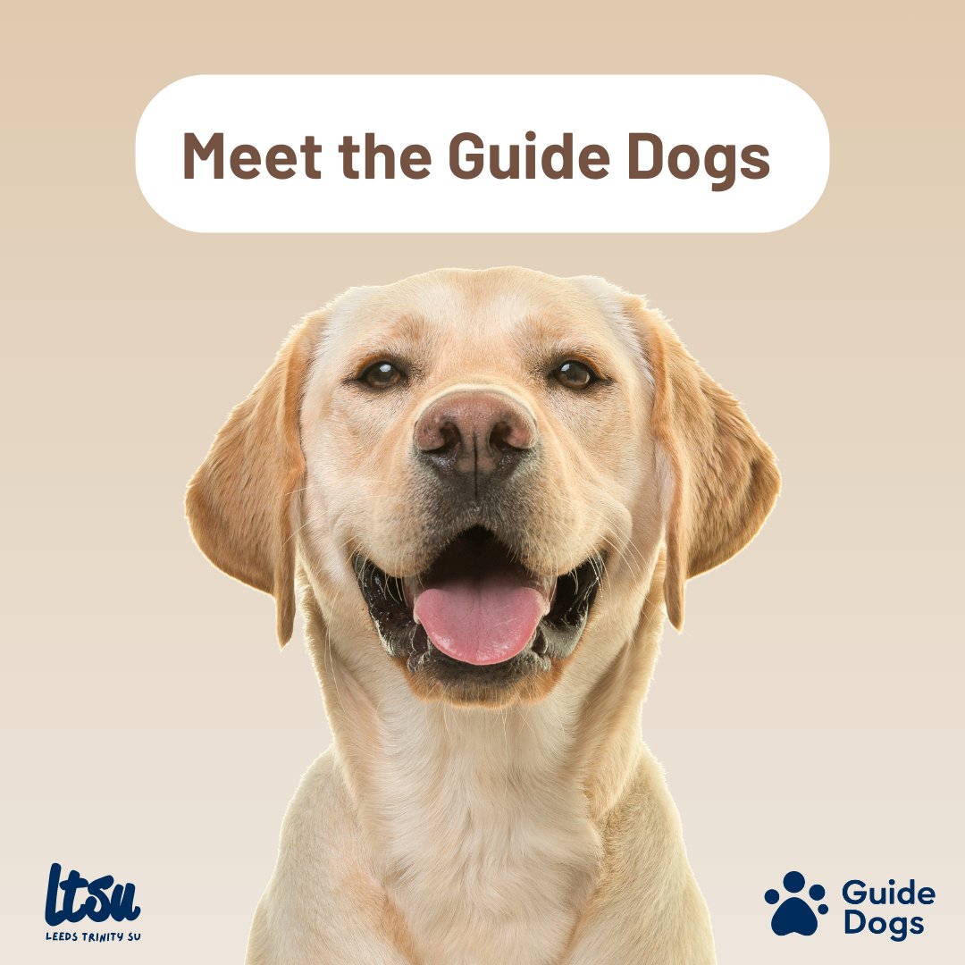 Leeds Trinity SU tweet media