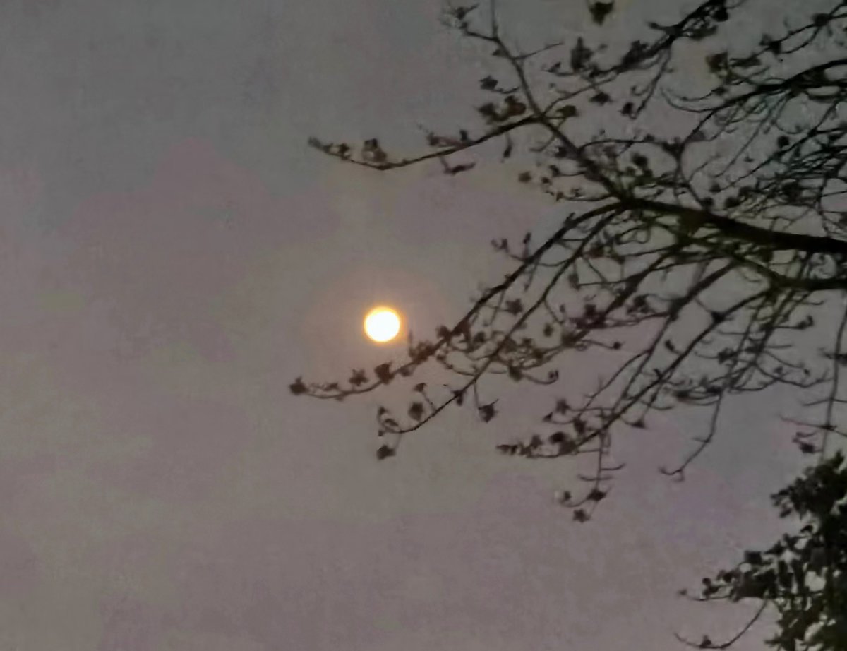 lTMetirx .HQ tweet media