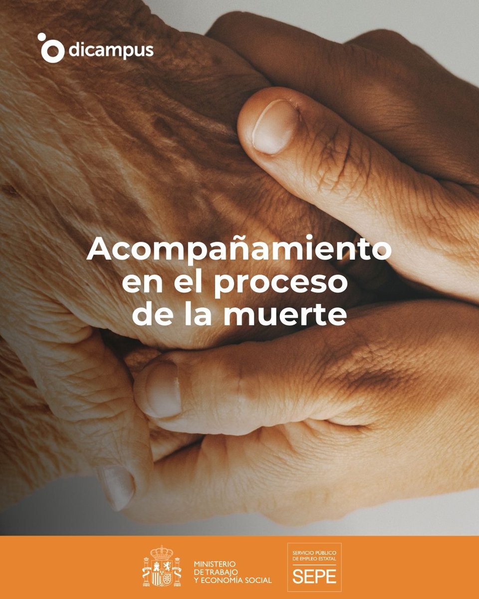 Dicampus tweet media