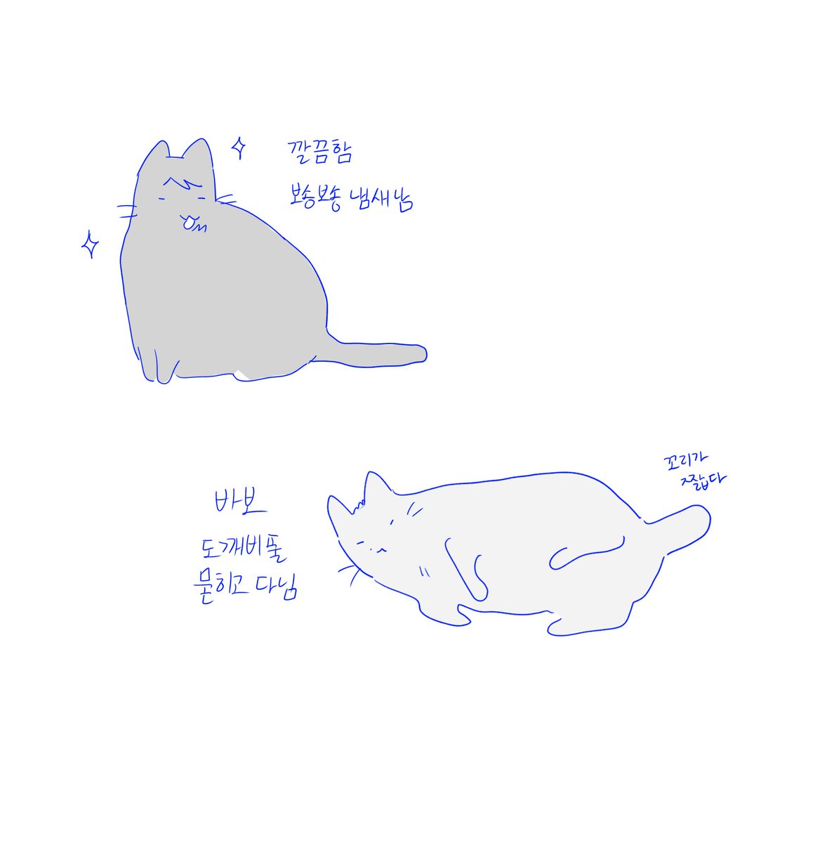 뚜껑 tweet media