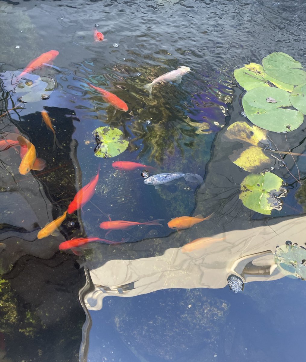 una tal soobmochii fuera de twt