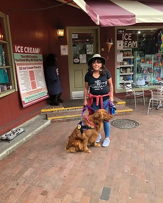 WorkingDogsForVets tweet media