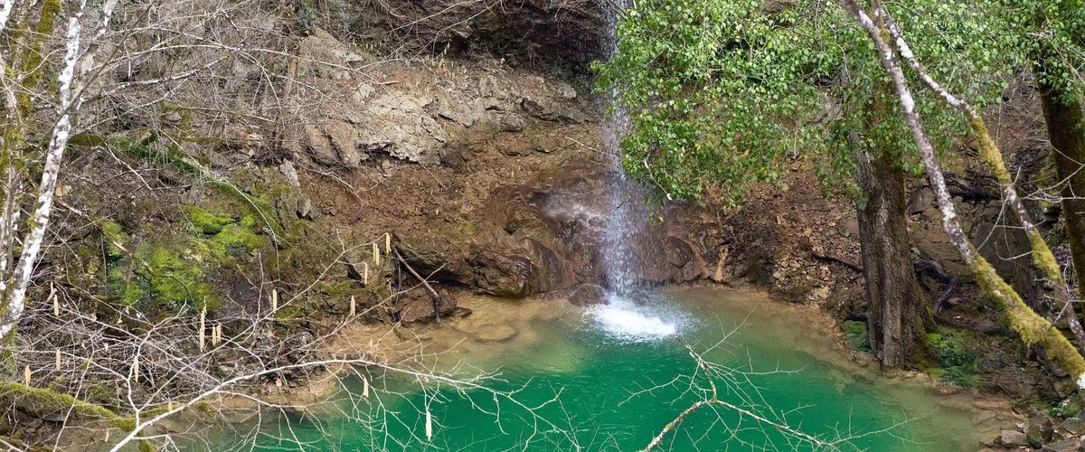 Colours of Istria tweet media