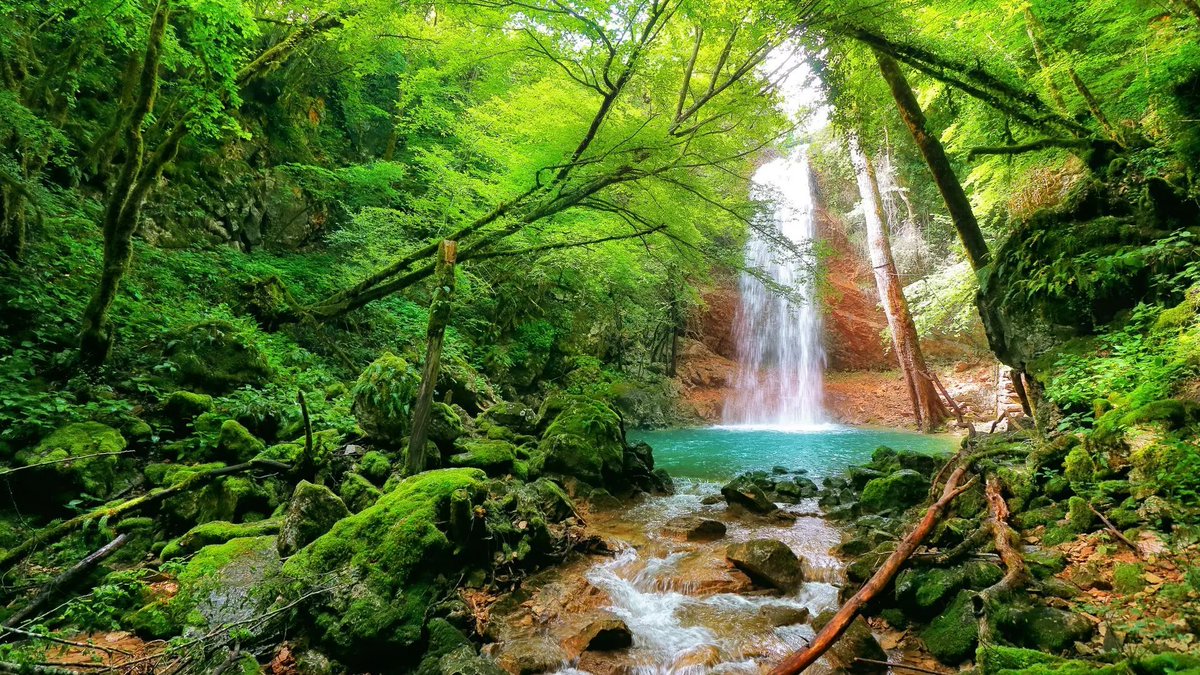 Colours of Istria tweet media