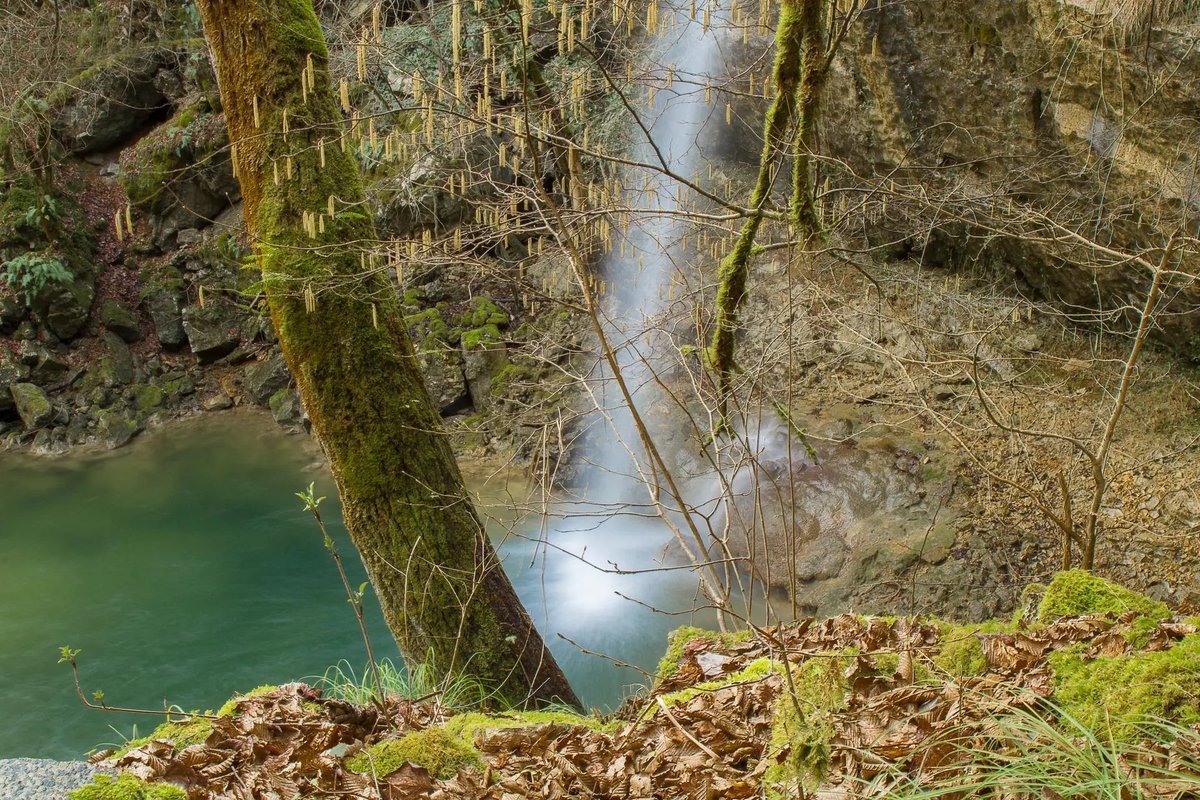 Colours of Istria tweet media