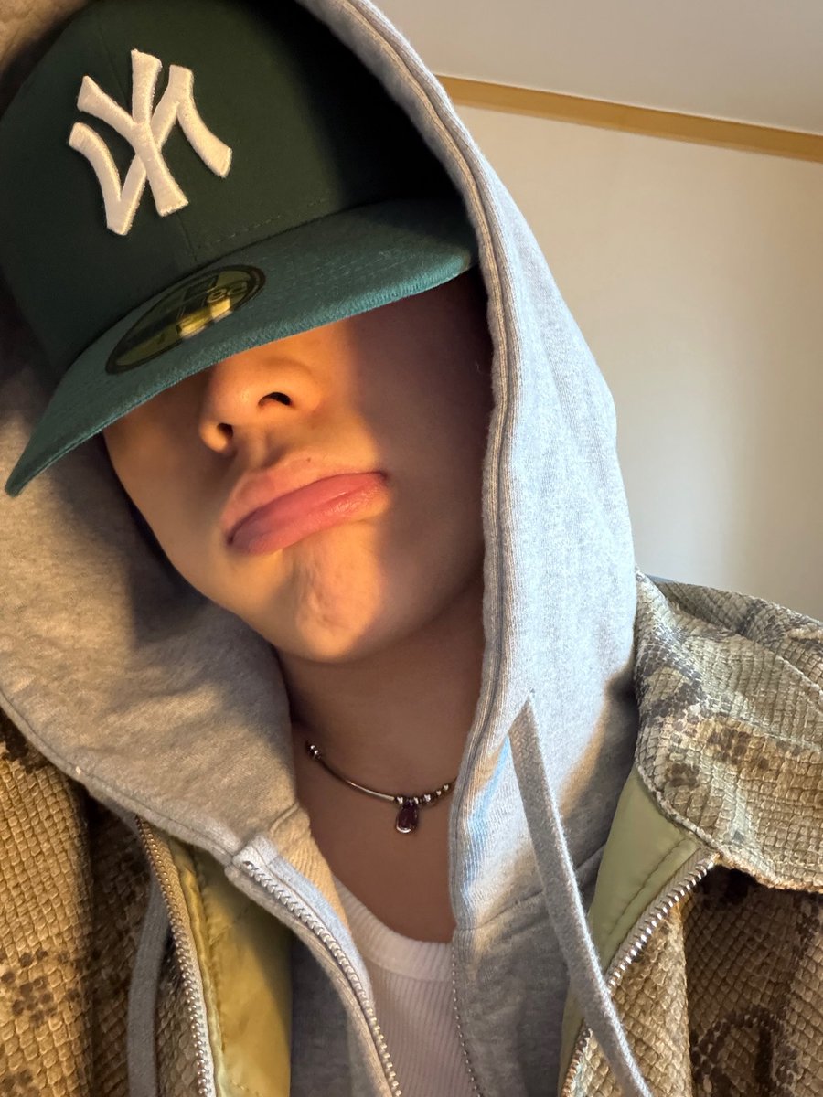 🐈‍⬛🐾 tweet media