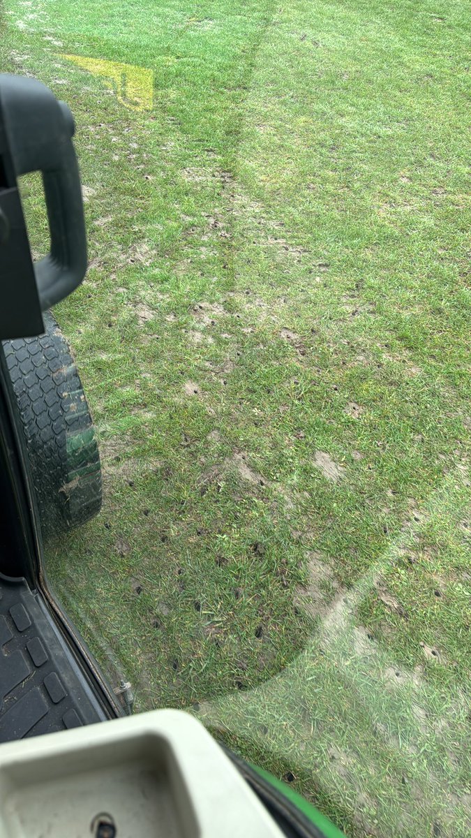 Grasslad Ltd tweet media