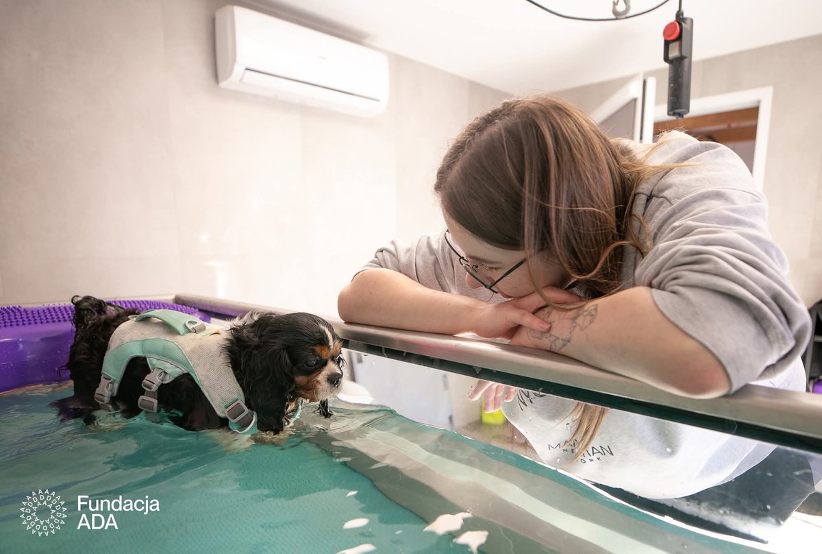 Fundacja ADA tweet media