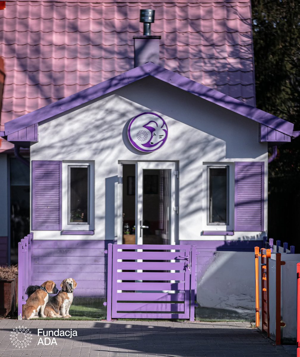 Fundacja ADA tweet media