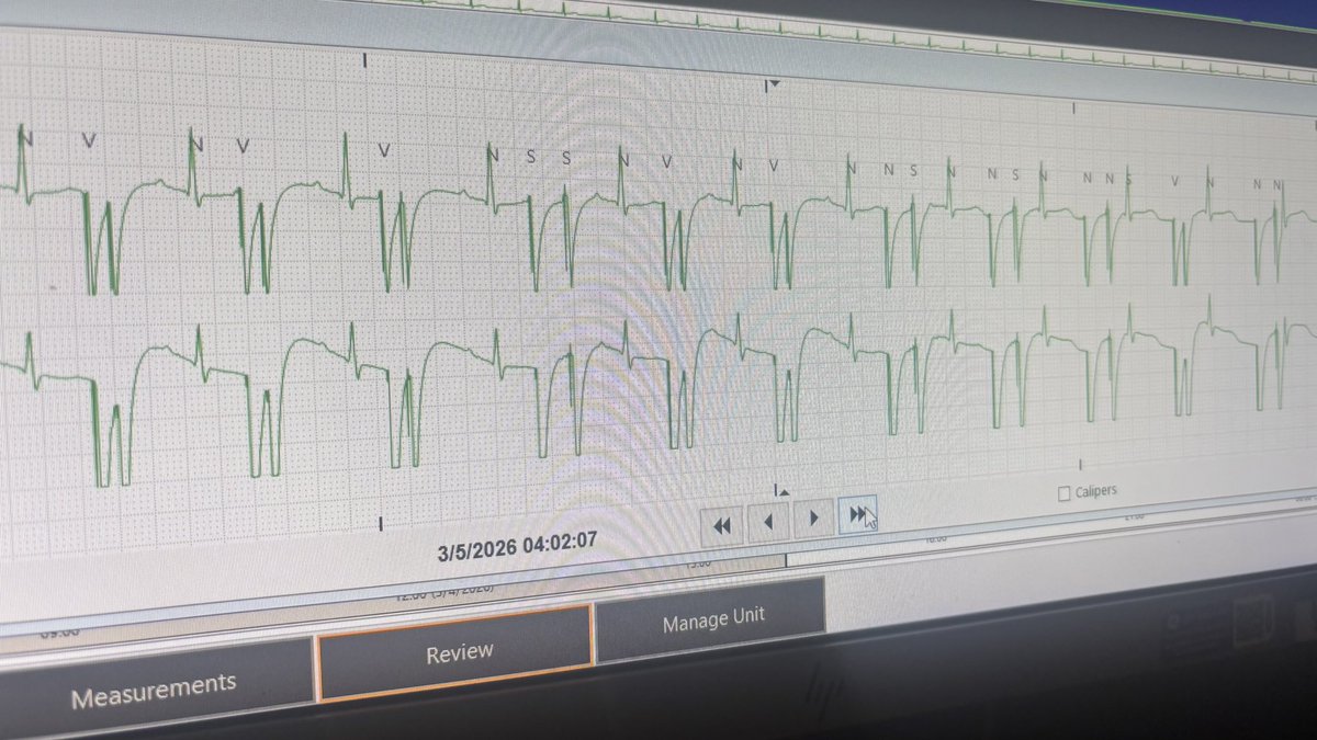 Gab 🌷 tweet media