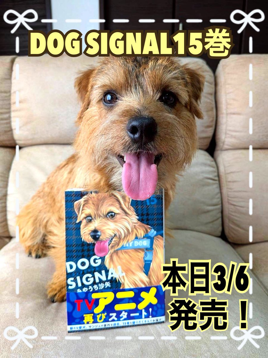 みやうち沙矢▶︎DOG SIGNAL tweet media