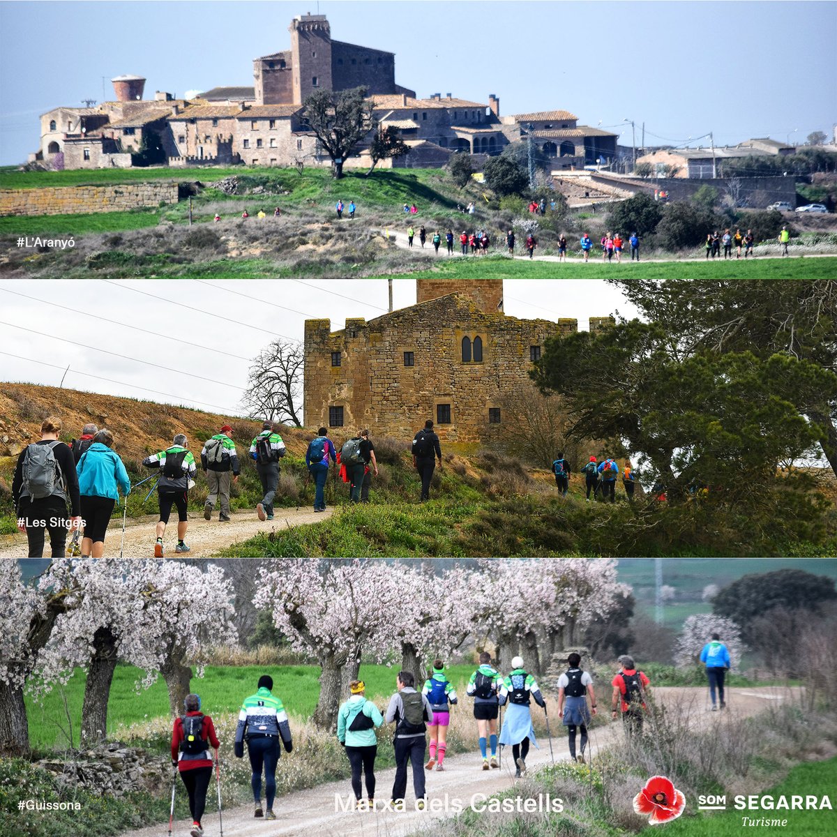 Som Segarra tweet media