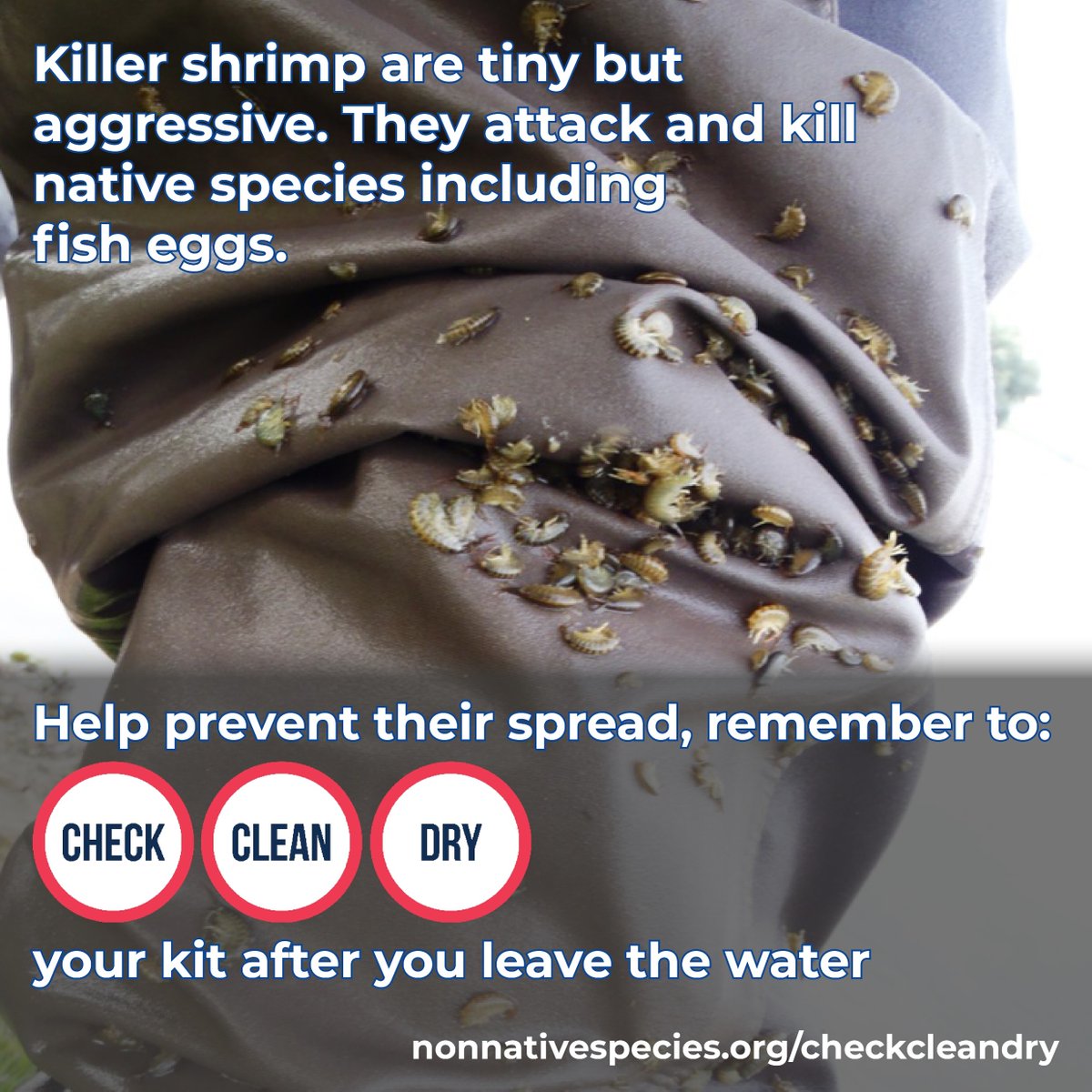 Check Clean Dry GB tweet media