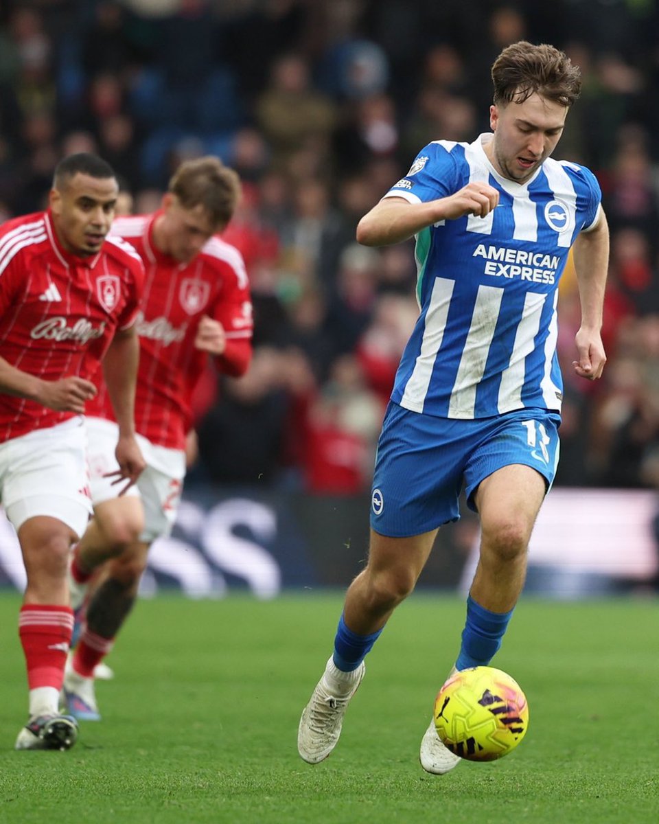 Brightonian tweet media