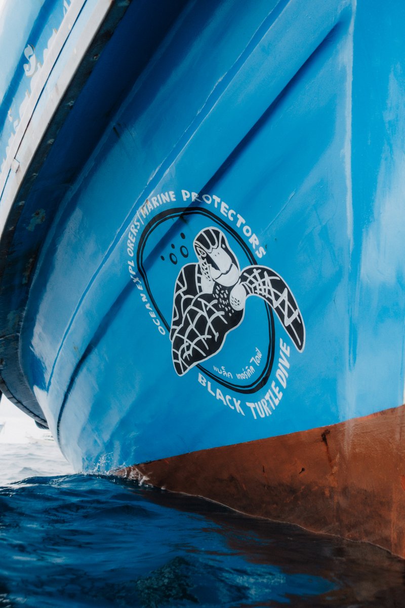 blackturtledive's tweet photo. Our dive team are experienced and highly knowledgeable dive professionals, familiar with the local reef ecology and dive sites. We will provide you with an enjoyable, fun diving experience. https://t.co/L6Ys3vi6yL #PADI #Diving #KohTao #Scuba #FunDive https://t.co/KtyEk2P8z8