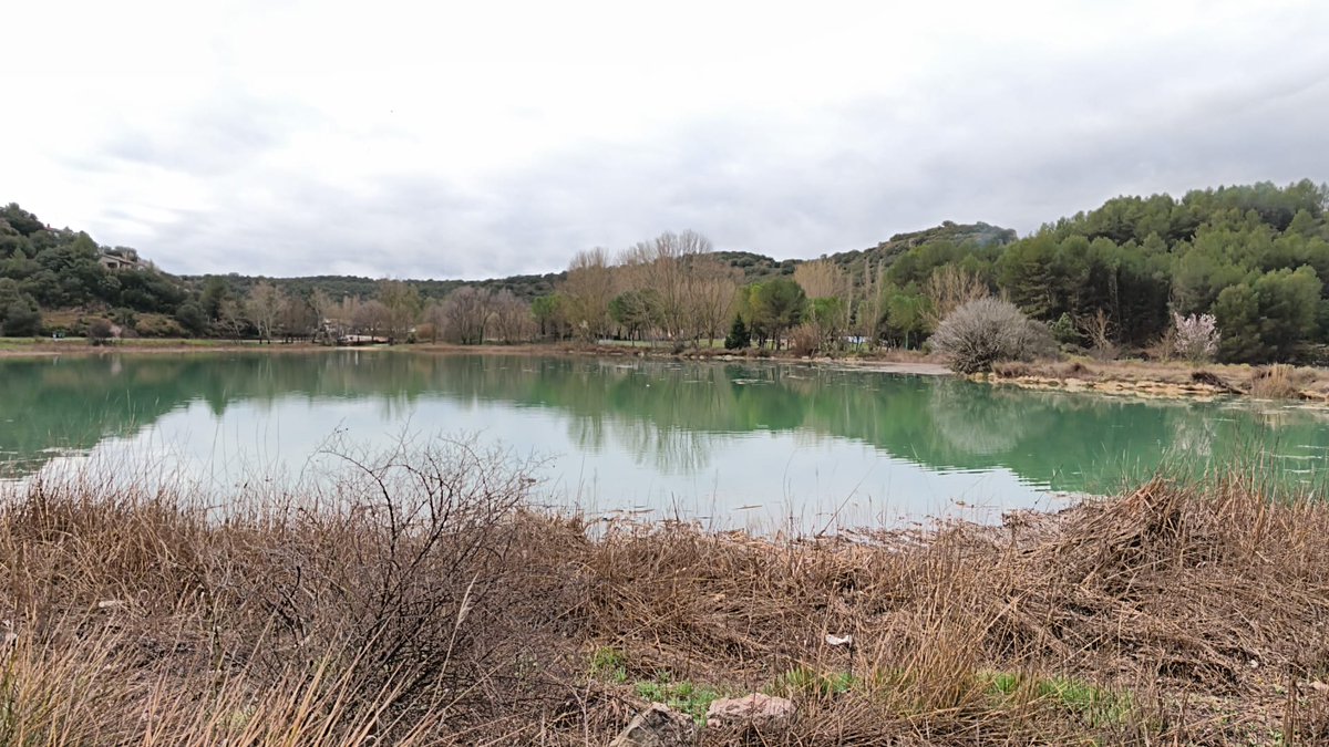 PNLagRuidera's tweet photo. La laguna de la Redondilla a punto de verter agua hacia la Lengua. Se ha llenado en una semana y sigue recibiendo agua desde la San Pedra. https://t.co/6ZgbetZKhU