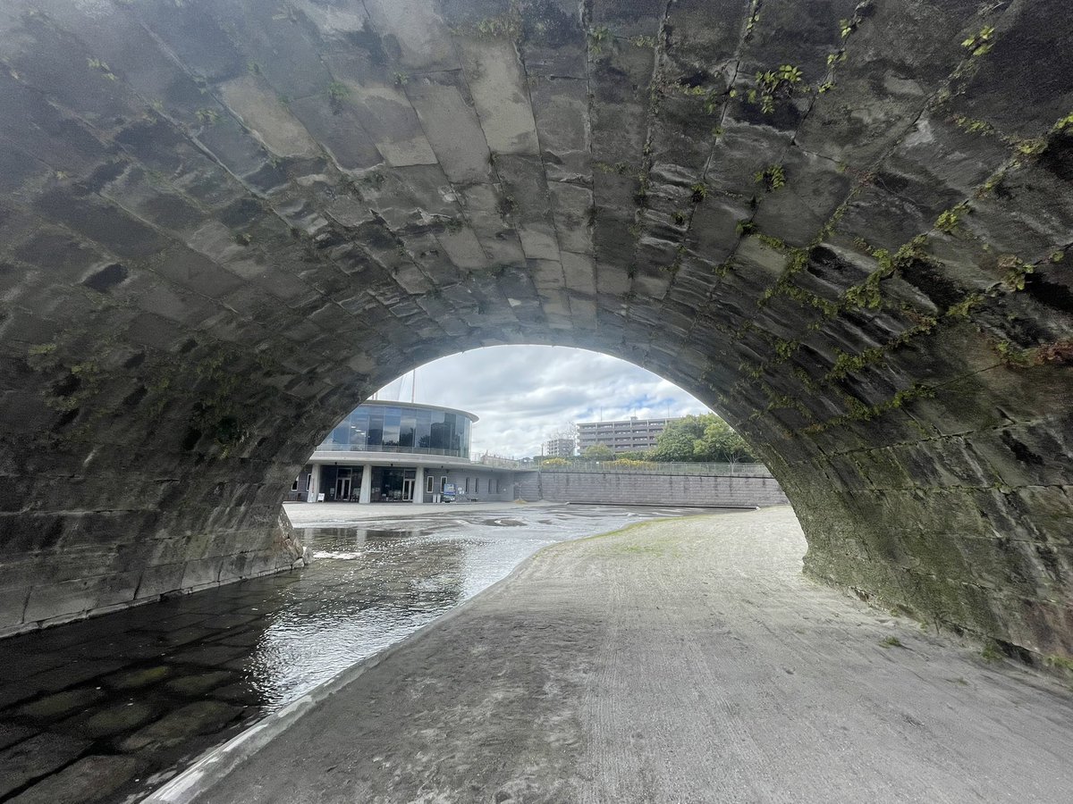 秋山薬空 tweet media