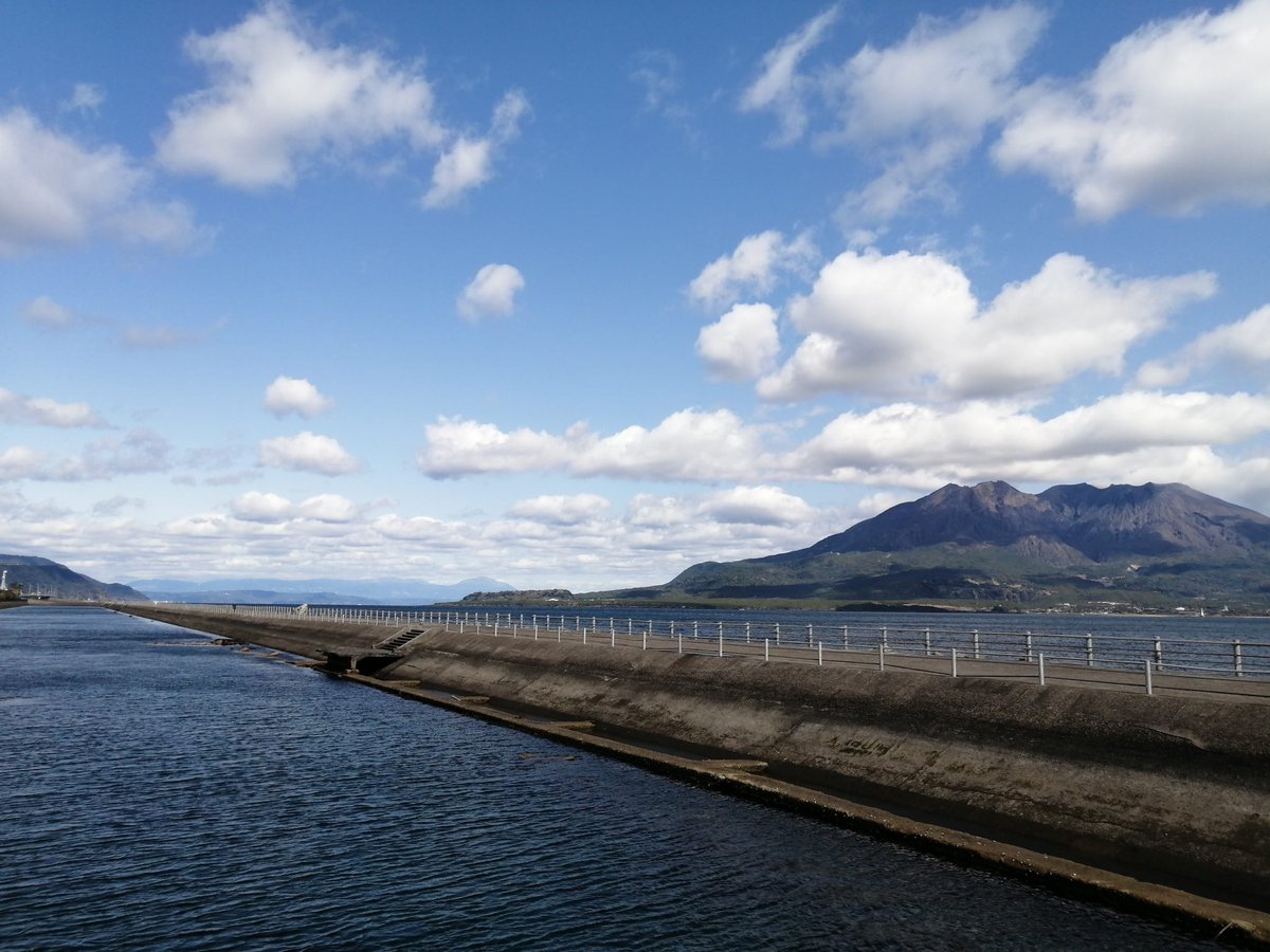 秋山薬空 tweet media