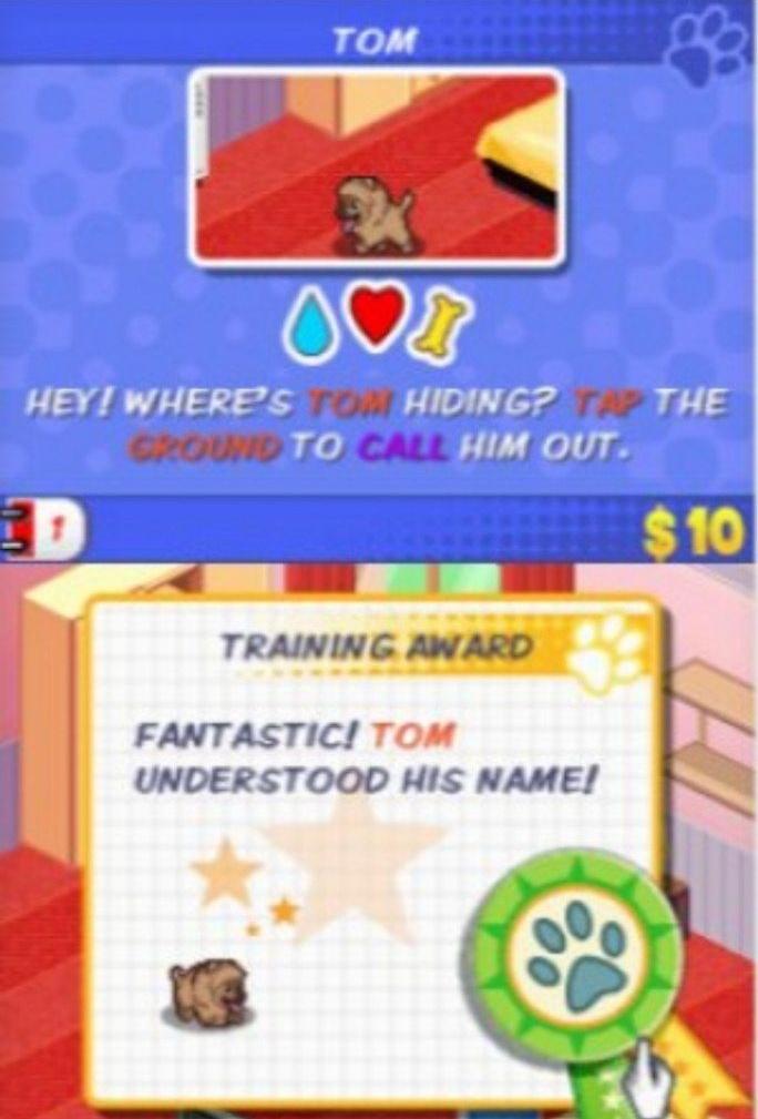 Princess_penguin (P_p) tweet media