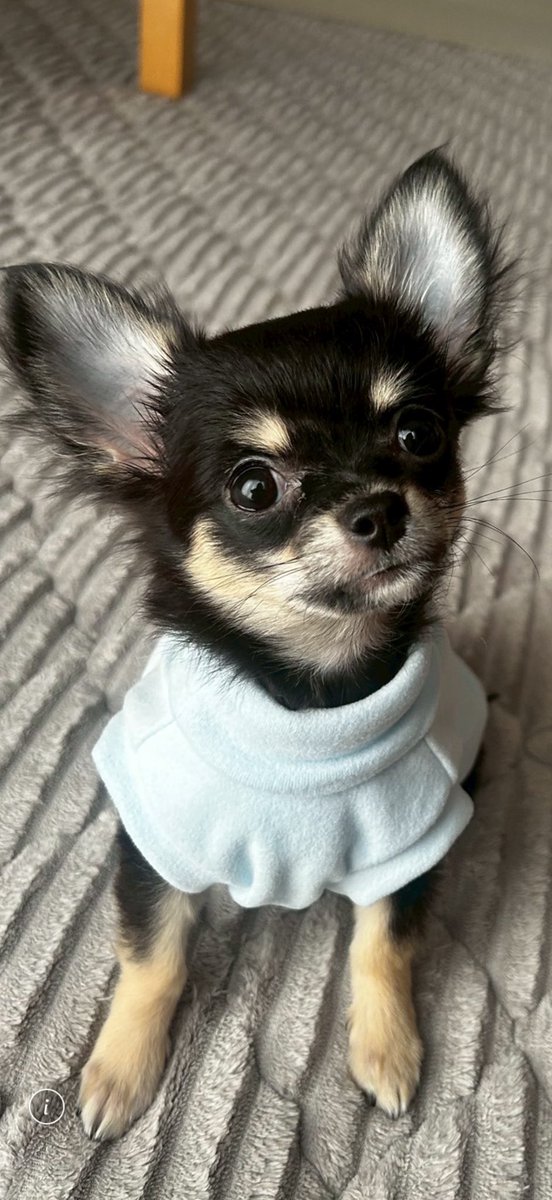 HAる【FFL】 tweet media