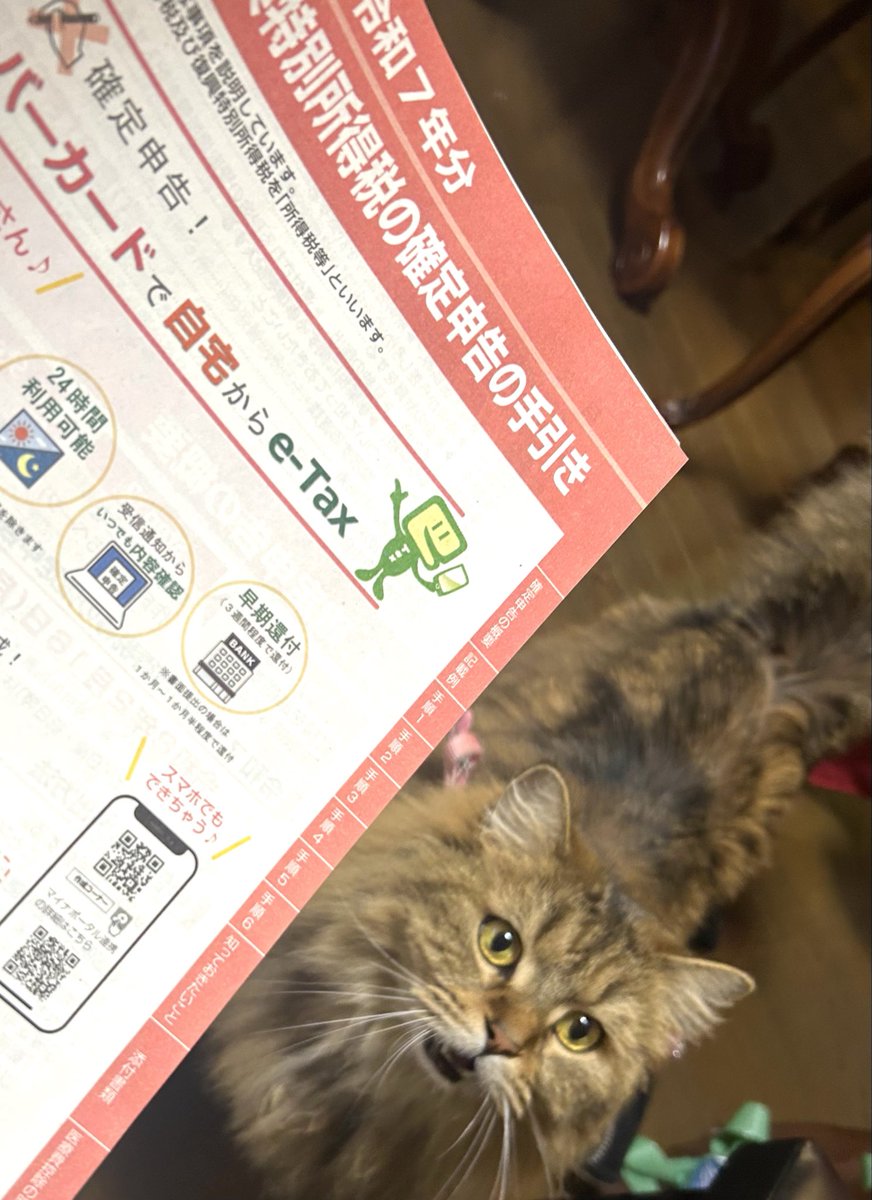 高港基資 ラガマフィンのエスの父ちゃん (@M_takaminato) / Posts / X