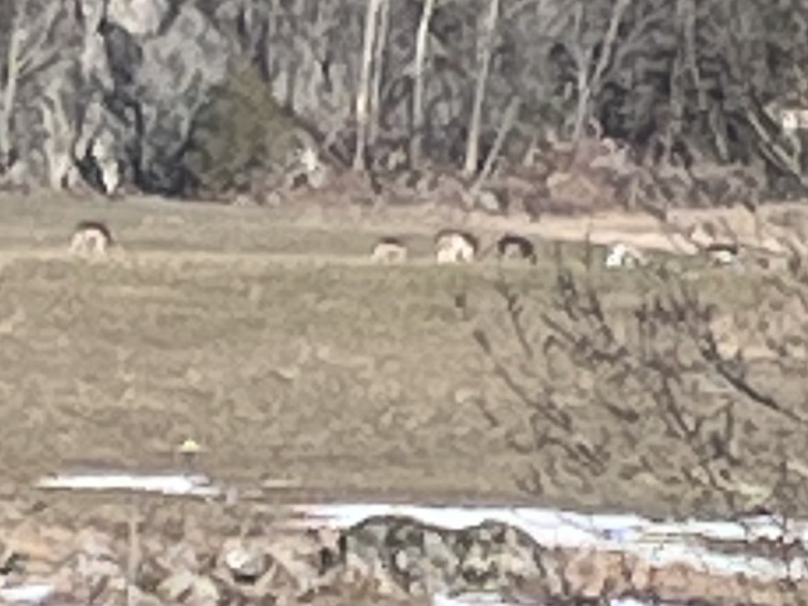 Michael Tärnfalk tweet media