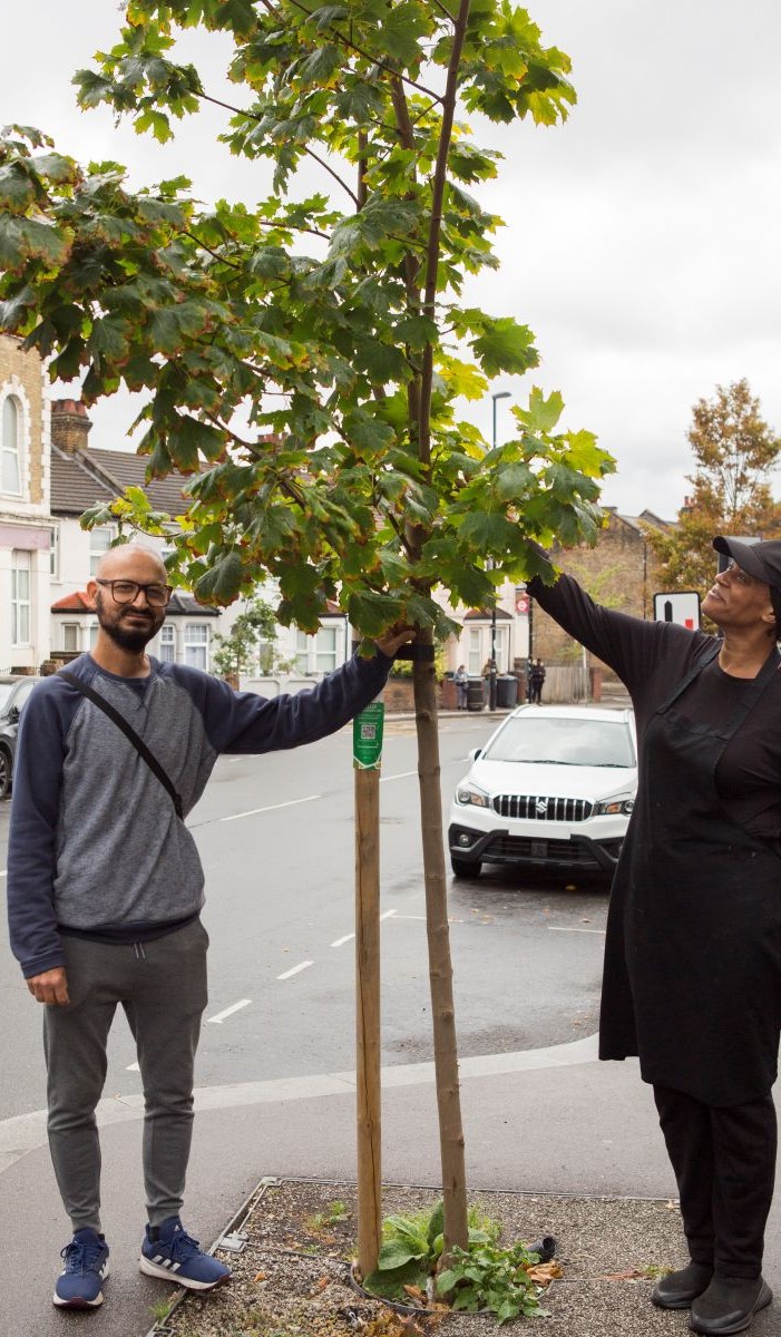 Trees for Streets tweet media