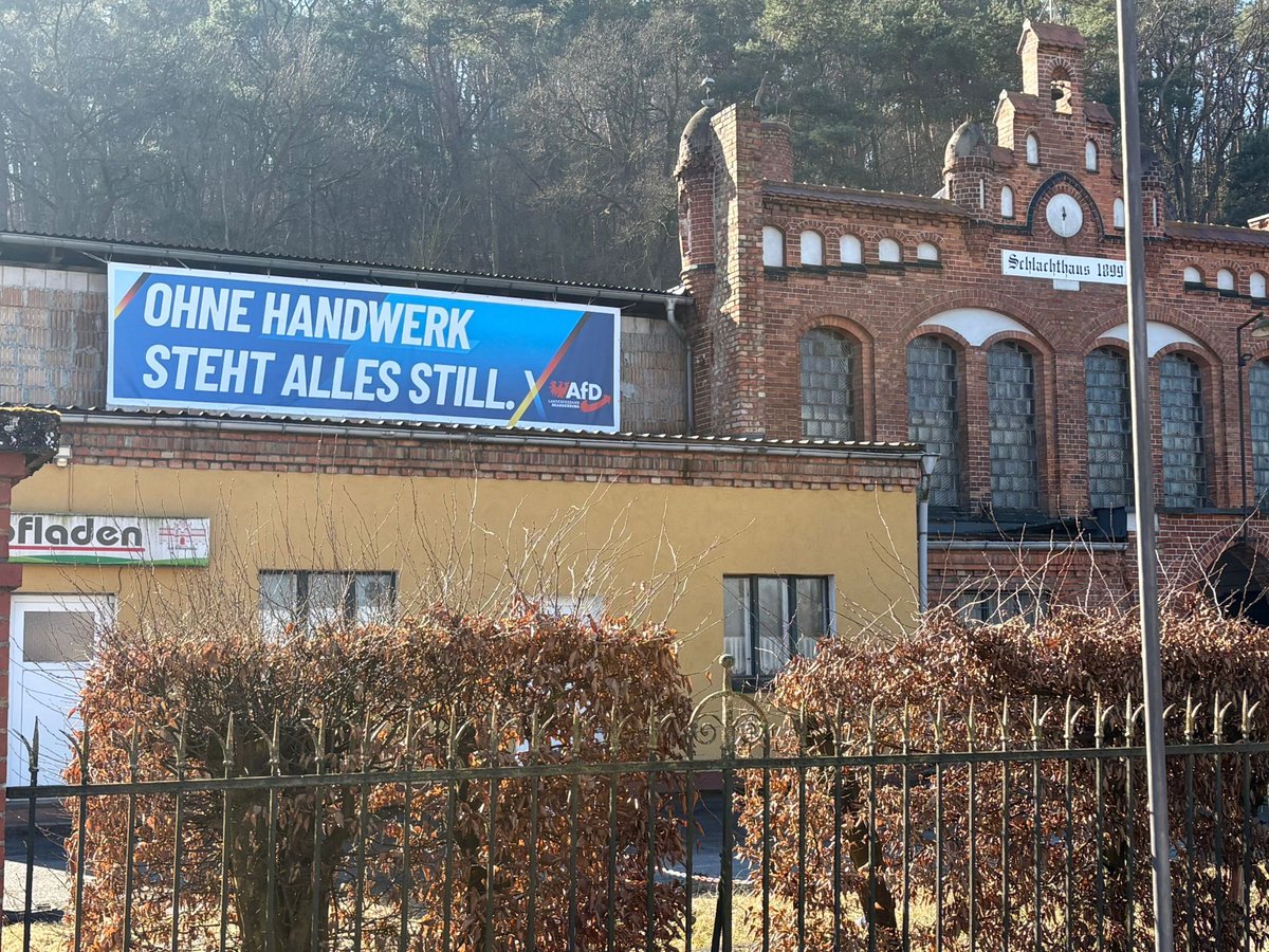 René Springer tweet media