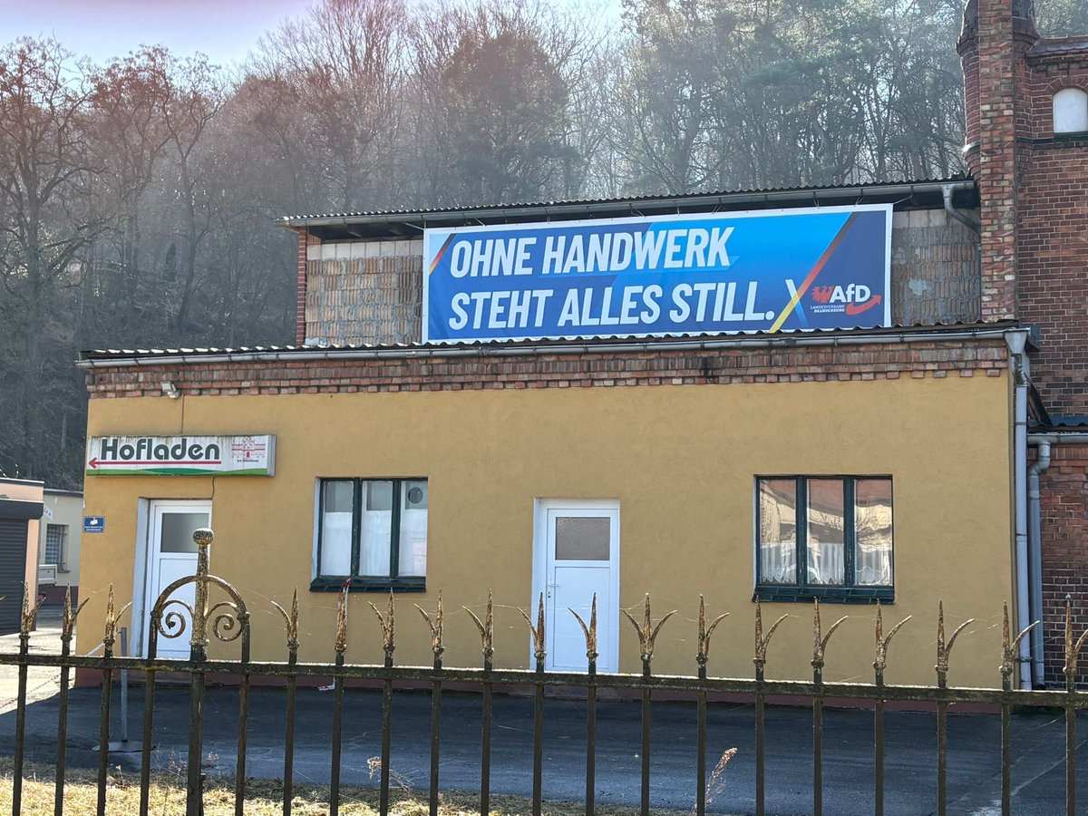 René Springer tweet media