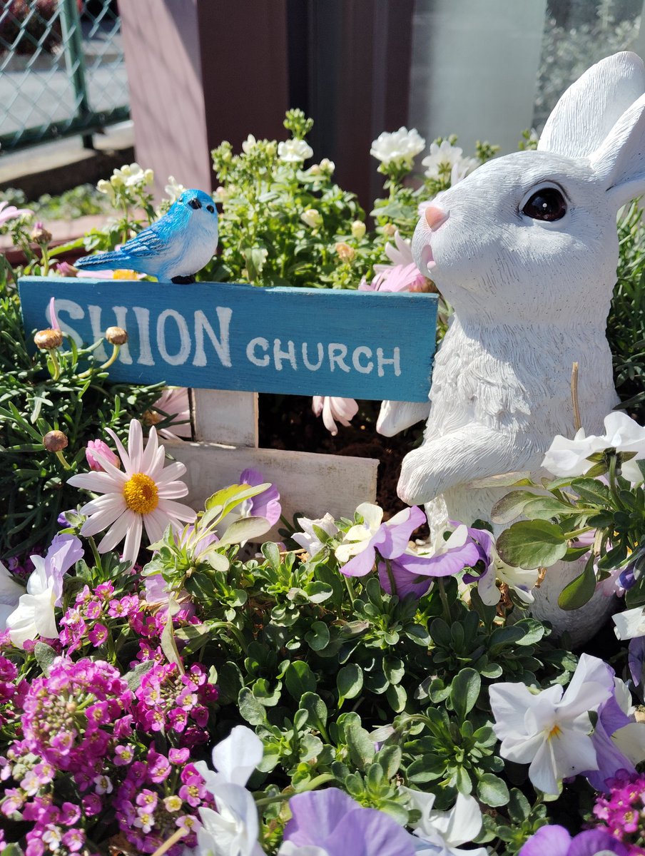 今週神様がくださった個性について考えています。自分ではあまりよく分かっていないところがありましたが、人を通して神様が教えてくださったな、ということがありました。よりよく磨いてもっと神様の願われる自分自身になりたいです。

#つくば始音教会
#キリスト教福音宣教会