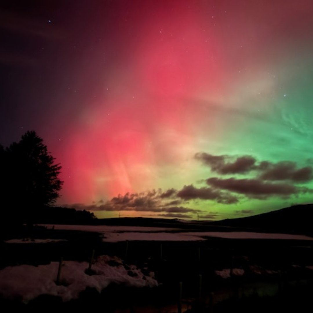 EmbraceScotland tweet media