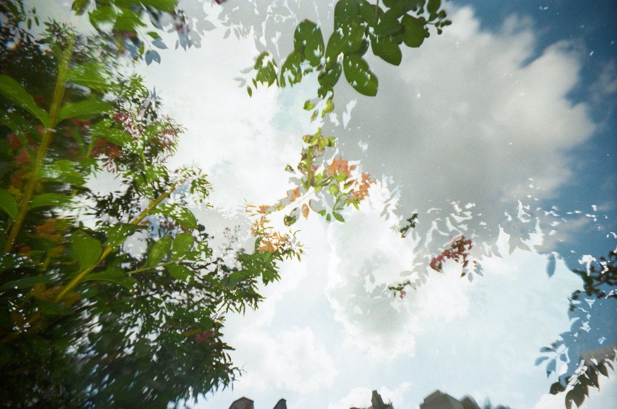 이시보 tweet media