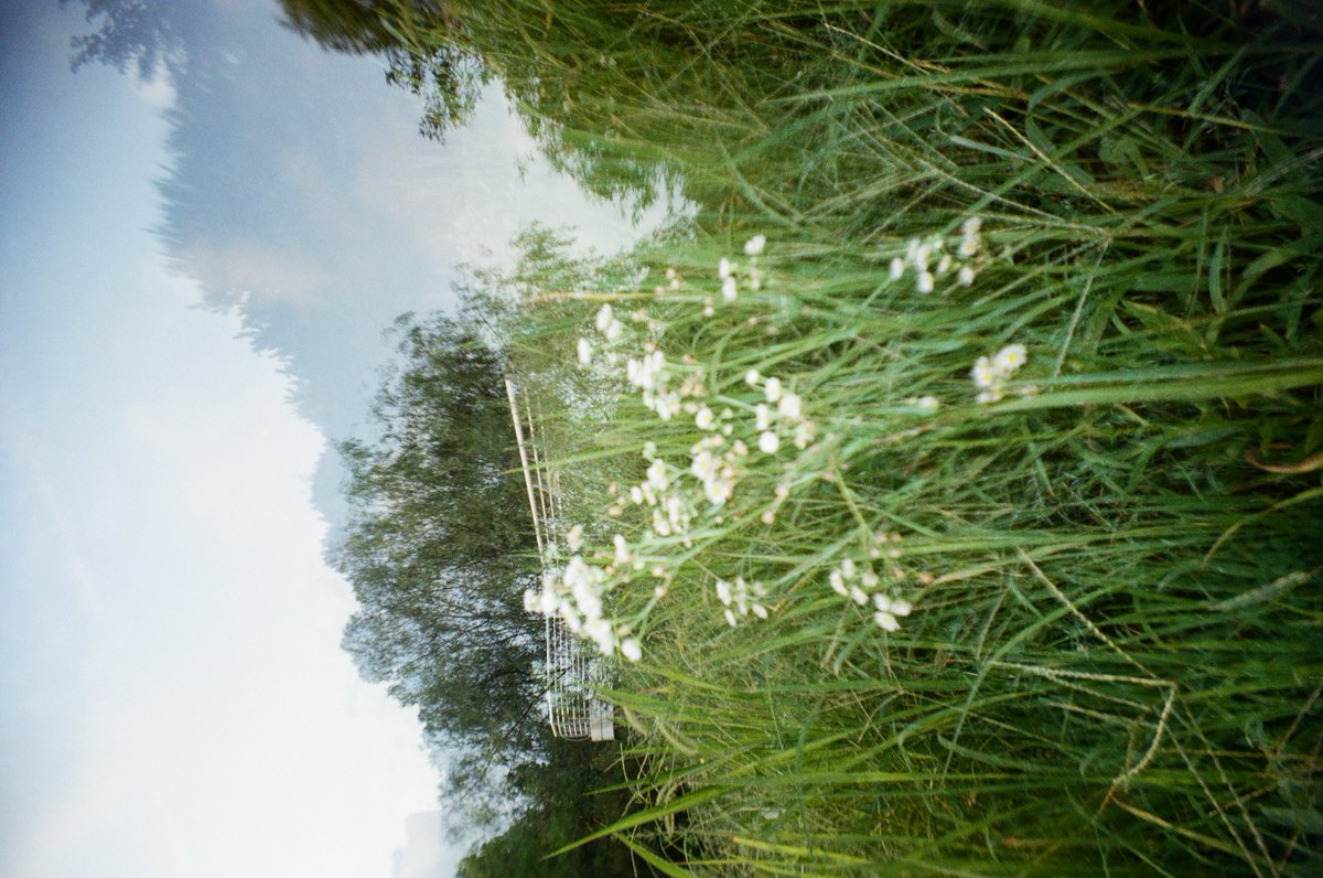 이시보 tweet media