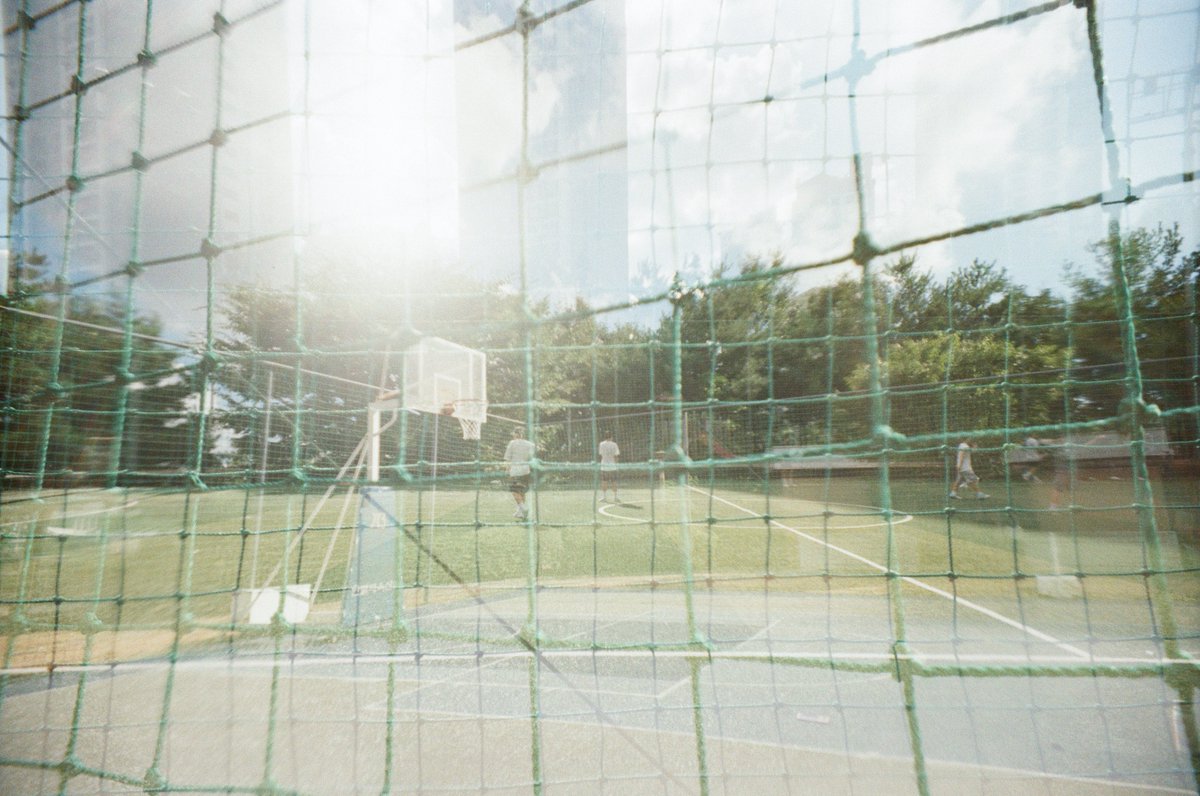 이시보 tweet media