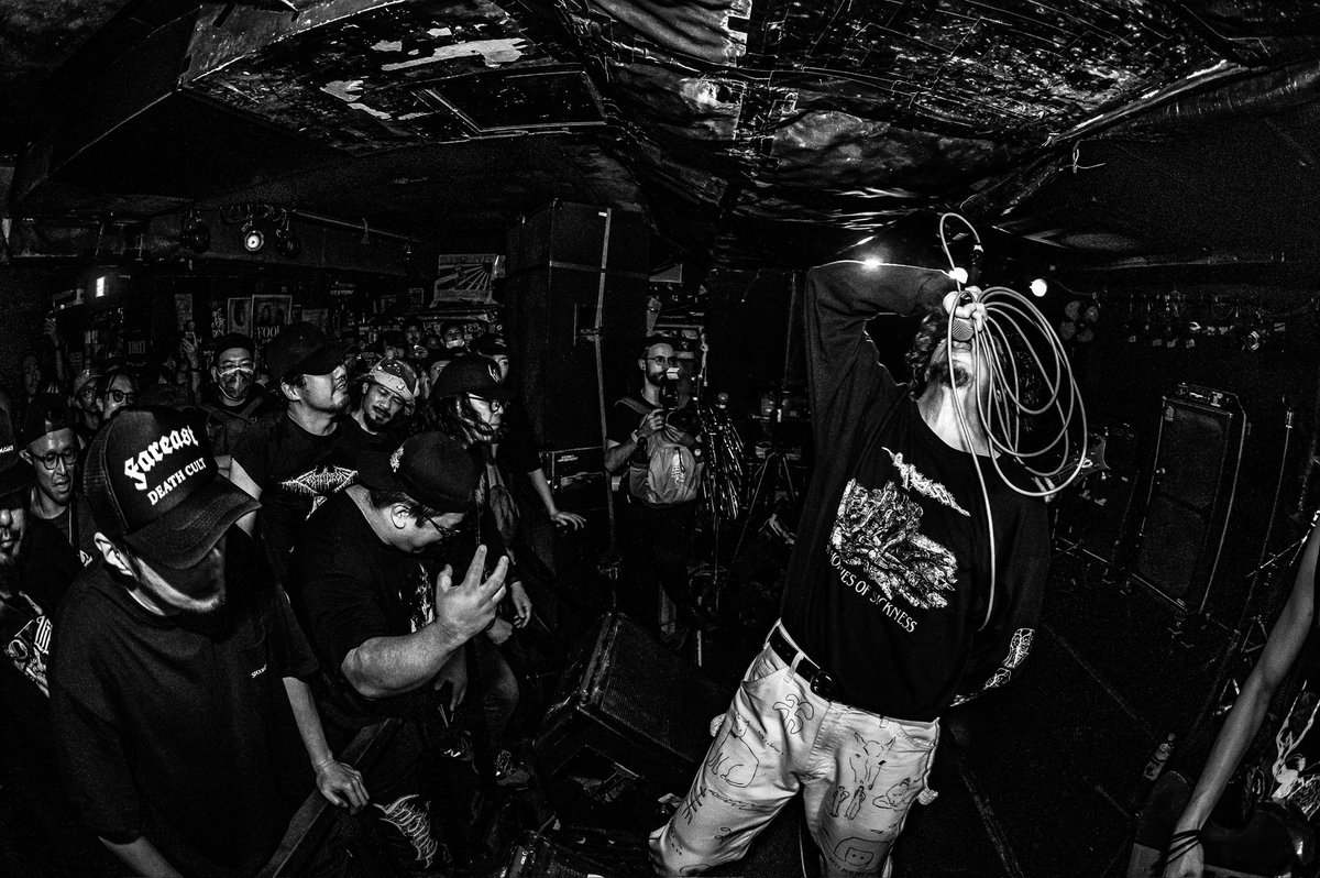 KK2PANTS tweet media