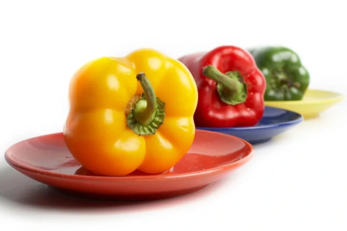 "Oren Elbaz " • Trading Advisor tweet media