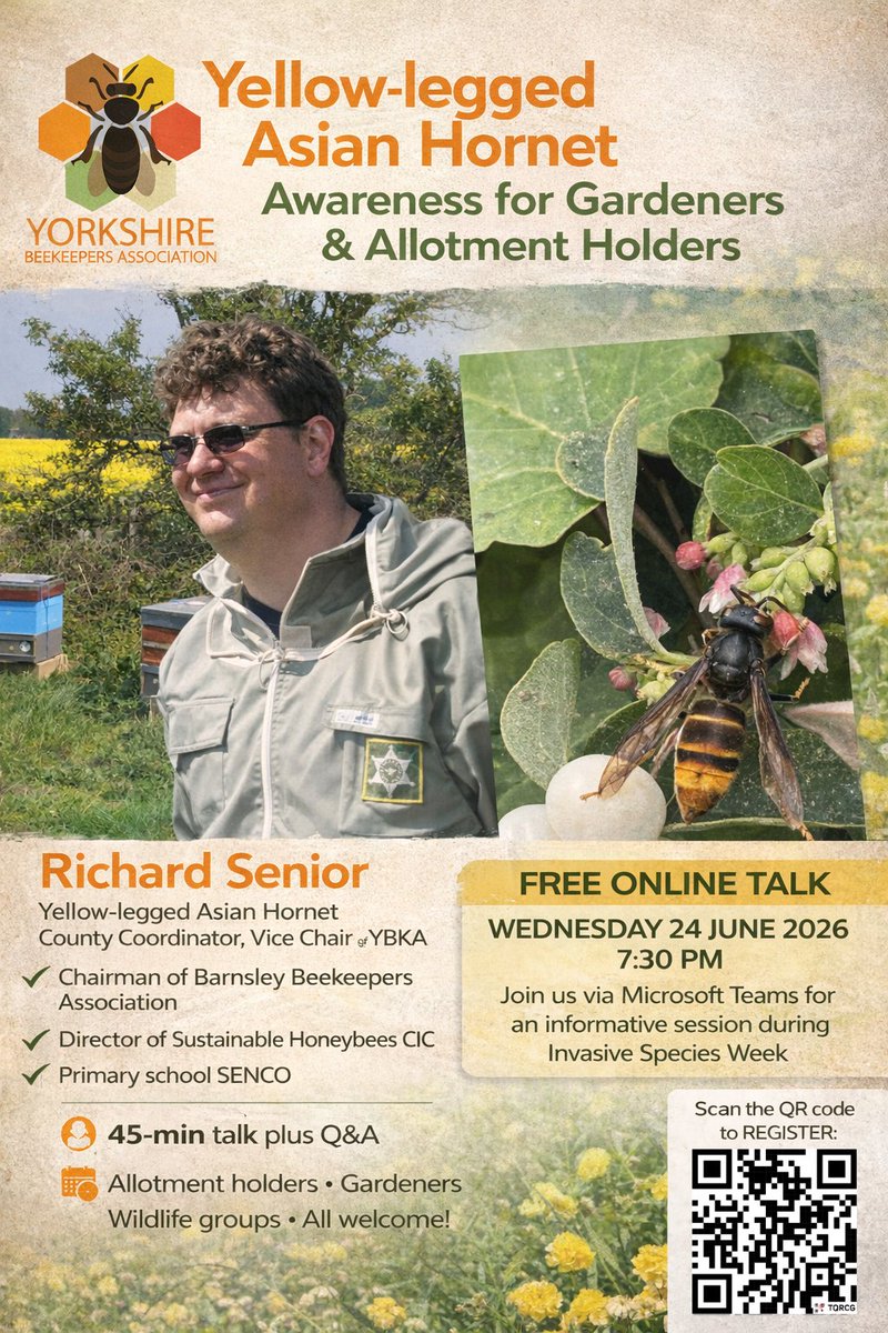 allotmentonline's tweet image. As part of Invasive Species Week 2026, @britishbee is hosting a free online talk  to raise awareness about the Yellow-legged Asian Hornet
Wednesday 24 June 2026
7:30pm - 8:30pm (online via Microsoft Teams)
Registration: ybka.org.uk/gwul

#beekeeping #AsianHornet #allotment