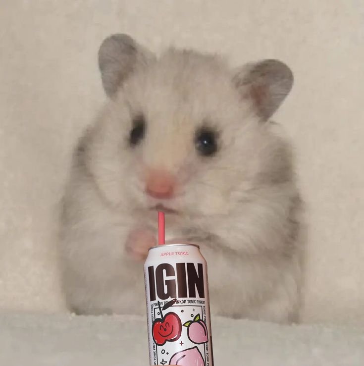 hamjin bot (@hamjinbot) on Twitter photo 