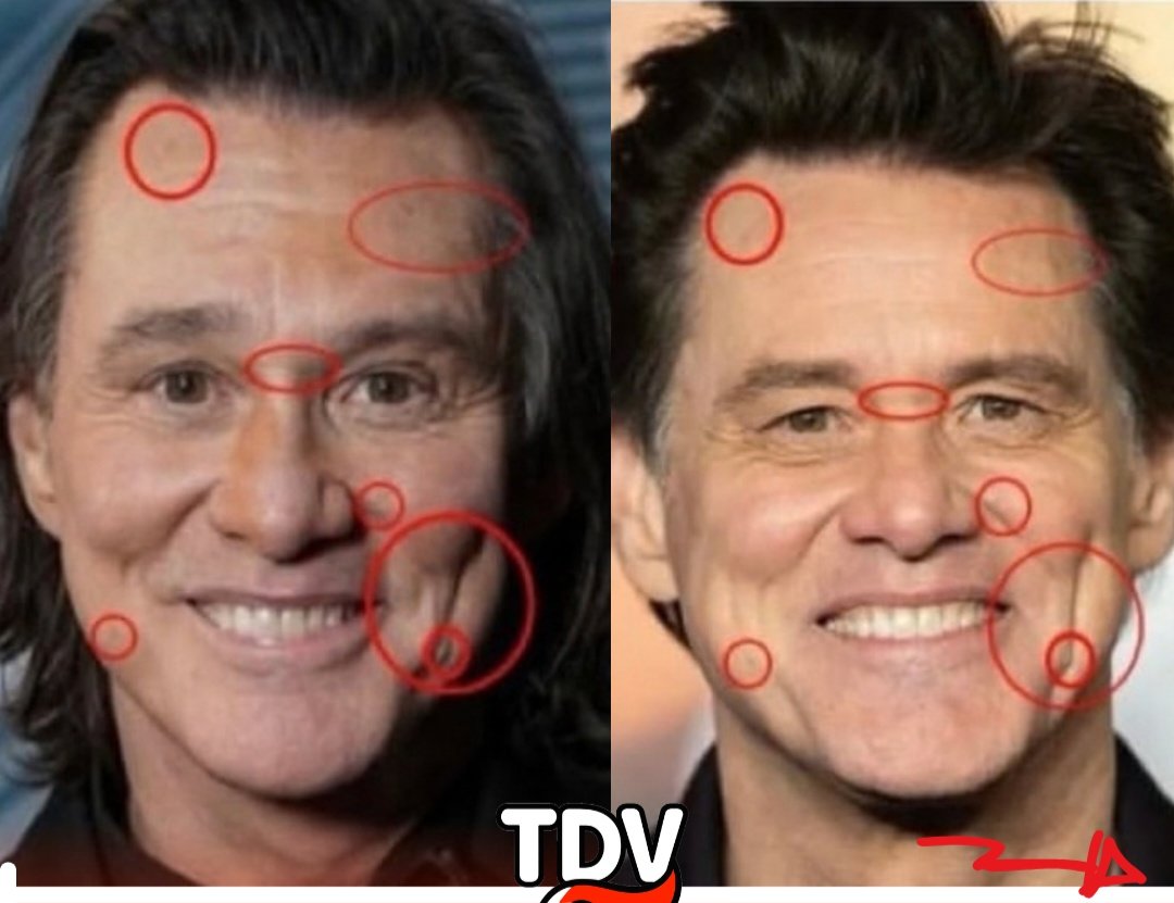 Real Volpe tweet media