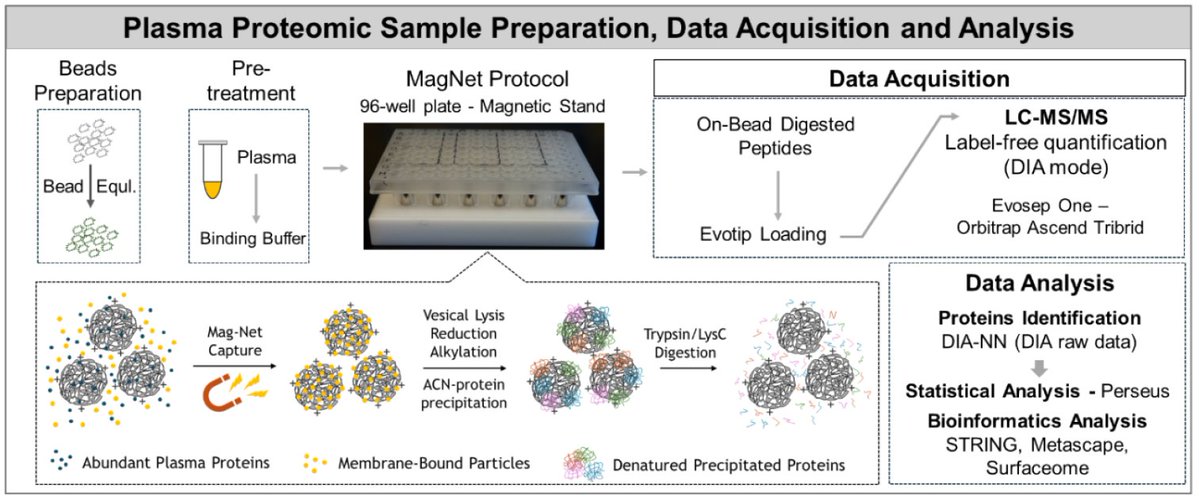 ReSyn Biosciences tweet media