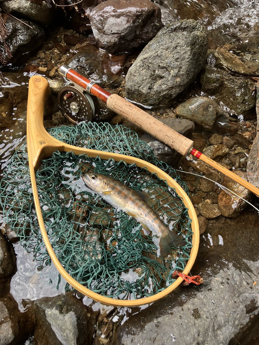 gachi_7134's tweet image. 今シーズンの初釣行！
釣友と山梨の渓へ。
厳しかったけど天然物と思う山女魚が釣れたのでホッとした。
#フライフィッシング
#flyfishing
#山梨の渓
#山女魚