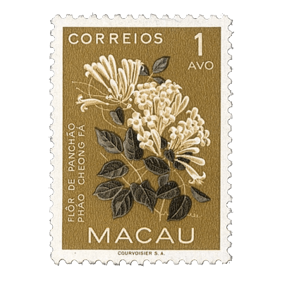 ‍ ‍‍ ‍ ‎‎‎ ‎‎‎ ‎‎‎ ‎ ‎‎ ，𝓥. ‍ tweet media